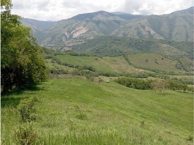 Finca en venta en Antioquia, Suroeste