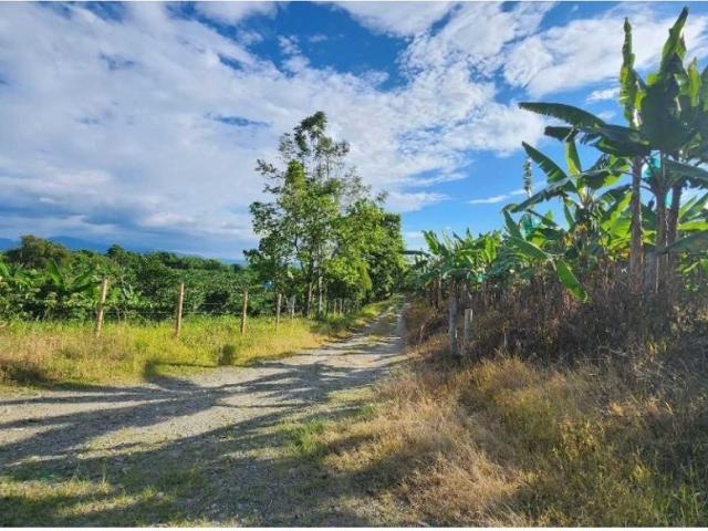 Finca en venta en Quindío