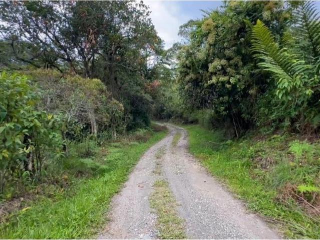 Cortijo de alto standing en venta La Vega, Colombia