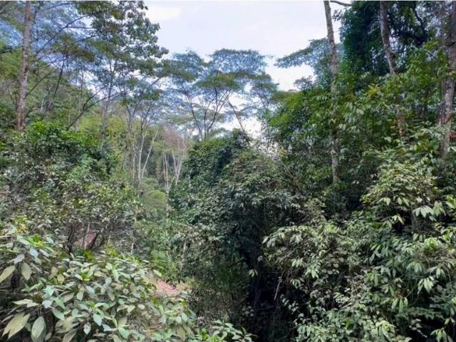 Cortijo de alto standing en venta La Vega, Colombia