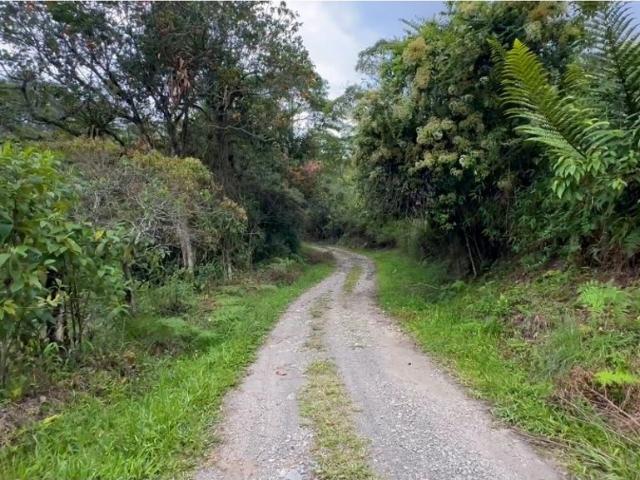 Cortijo de alto standing en venta La Vega, Colombia