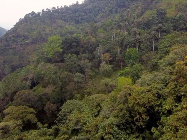 Cortijo de alto standing en venta La Vega, Colombia