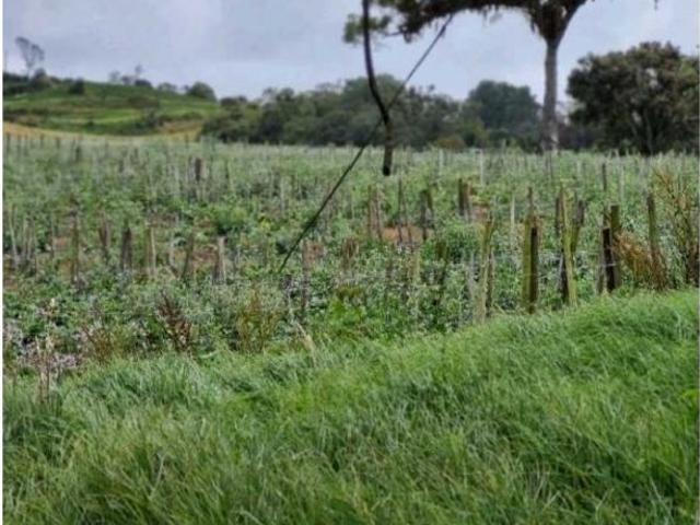 Cortijo de alto standing en venta La Vega, Colombia