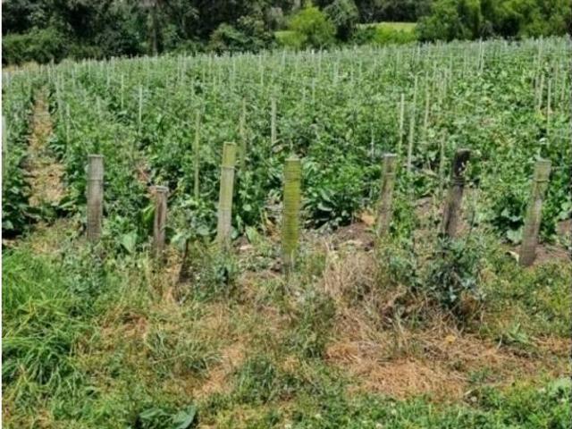 Cortijo de alto standing en venta La Vega, Colombia