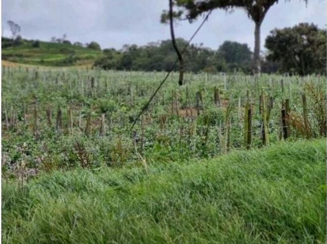 Cortijo de alto standing en venta La Vega, Colombia