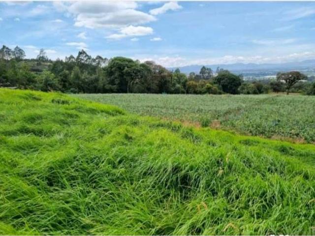 Cortijo de alto standing en venta La Vega, Colombia