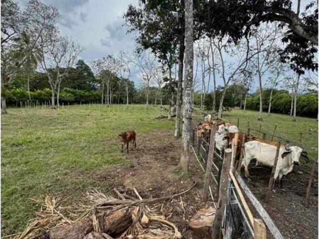 Cortijo de alto standing en venta La Virginia, Colombia