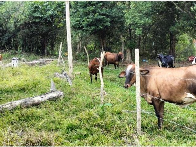 Finca en venta en Santander