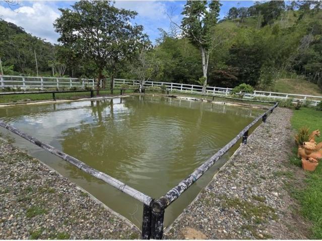 Cortijo de alto standing en venta Maceo, Colombia