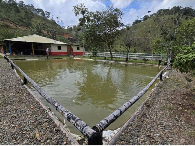 Cortijo de alto standing en venta Maceo, Colombia