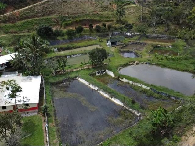 Cortijo de alto standing en venta Maceo, Colombia