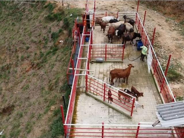 Cortijo de alto standing en venta Maceo, Colombia