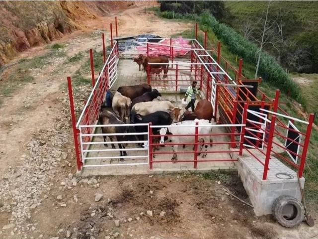 Cortijo de alto standing en venta Maceo, Colombia