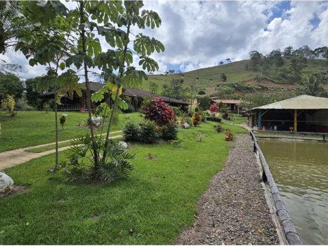 Cortijo de alto standing en venta Maceo, Colombia