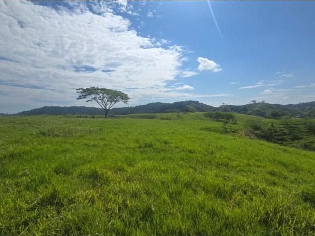 Finca en venta en Maceo, Magdalena Medio