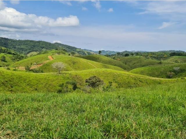 Cortijo de alto standing en venta Maceo, Colombia