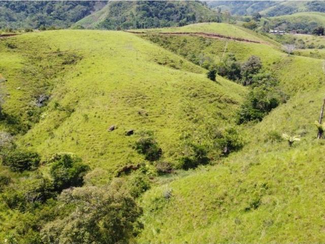 Cortijo de alto standing en venta Maceo, Colombia