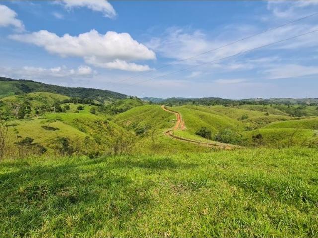 Cortijo de alto standing en venta Maceo, Colombia