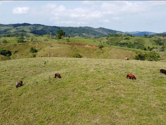 Cortijo de alto standing en venta Maceo, Colombia
