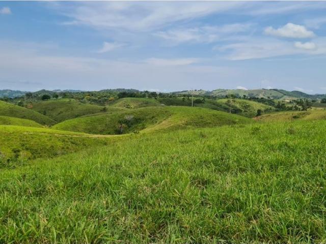 Cortijo de alto standing en venta Maceo, Colombia