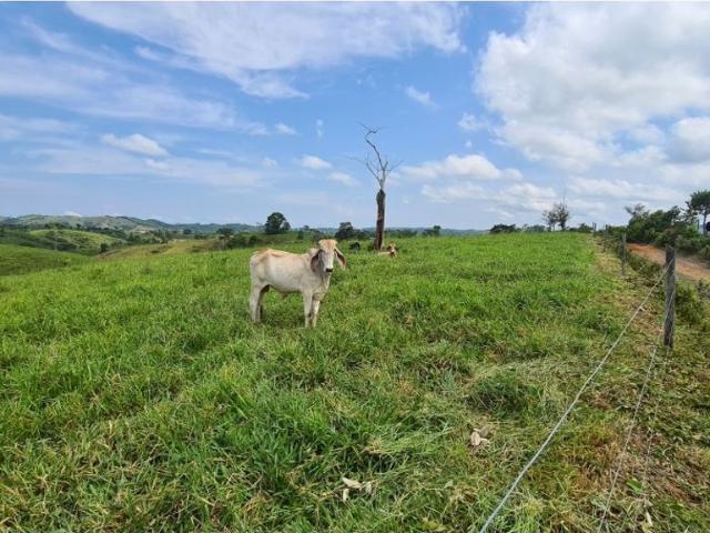 Cortijo de alto standing en venta Maceo, Colombia