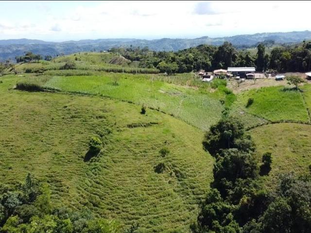 Finca en venta en Antioquia, Magdalena Medio