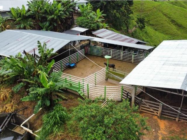 Cortijo de alto standing en venta Maceo, Departamento de Antioquia