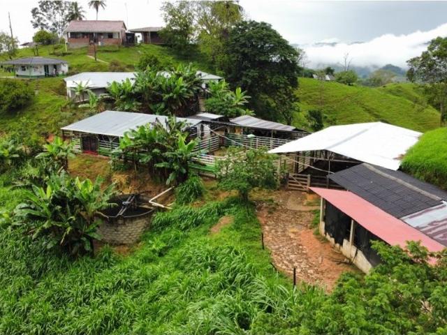 Cortijo de alto standing en venta Maceo, Departamento de Antioquia