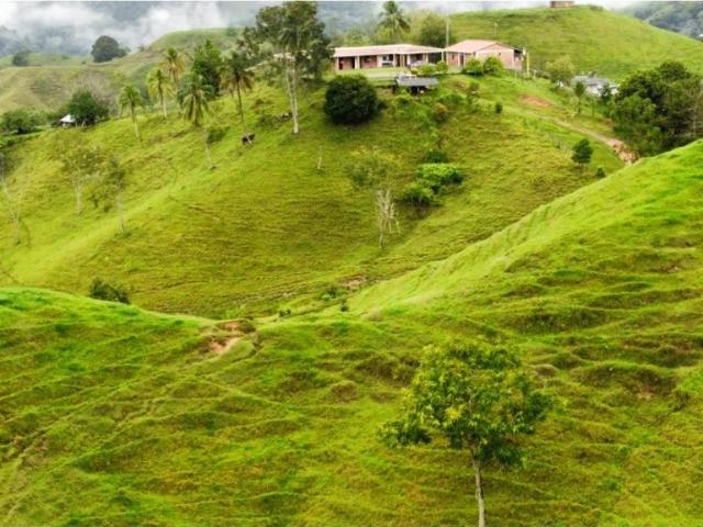 Cortijo de alto standing en venta Maceo, Departamento de Antioquia