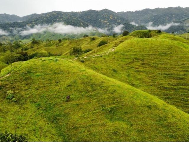Cortijo de alto standing en venta Maceo, Departamento de Antioquia