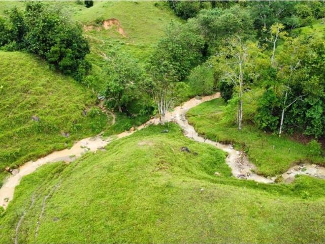 Cortijo de alto standing en venta Maceo, Departamento de Antioquia
