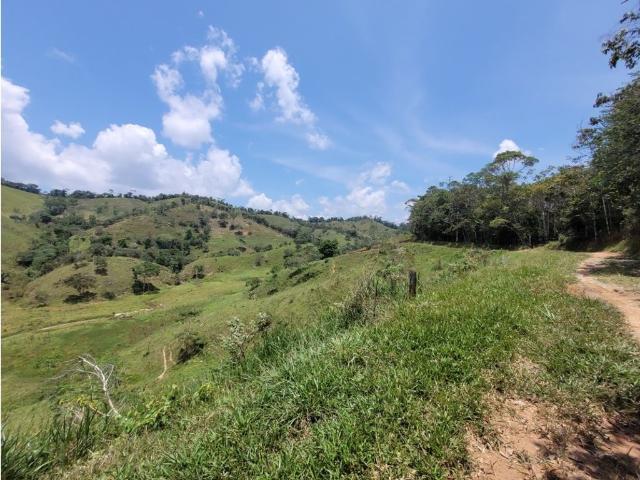 Cortijo de alto standing en venta Maceo, Departamento de Antioquia