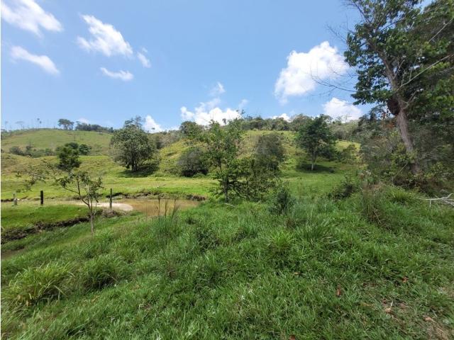 Cortijo de alto standing en venta Maceo, Departamento de Antioquia