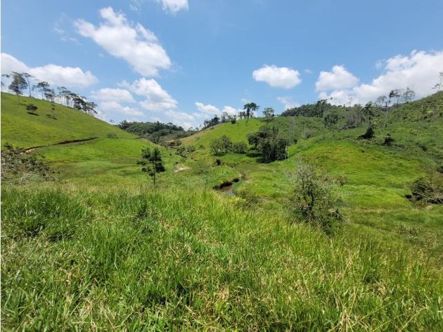 Cortijo de alto standing en venta Maceo, Departamento de Antioquia