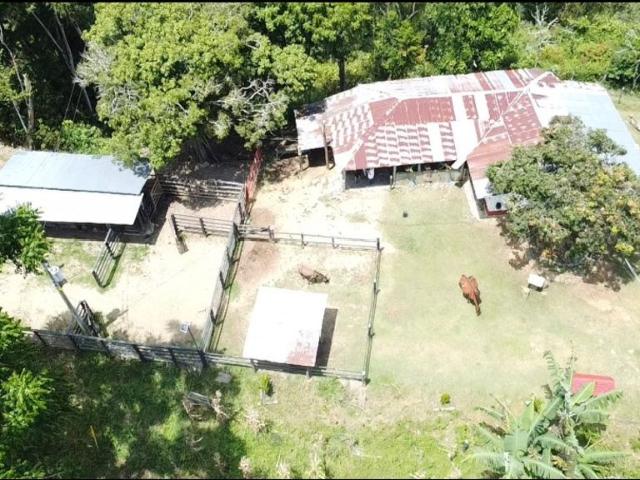 Cortijo de alto standing en venta Maceo, Departamento de Antioquia