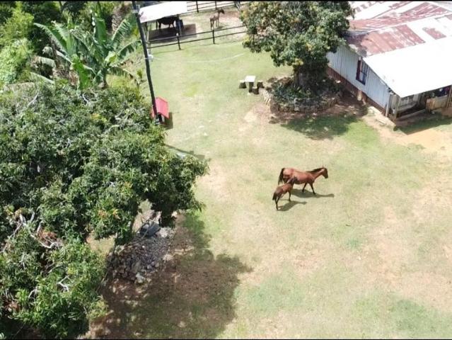 Cortijo de alto standing en venta Maceo, Departamento de Antioquia