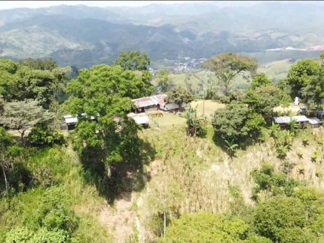 Cortijo de alto standing en venta Maceo, Departamento de Antioquia