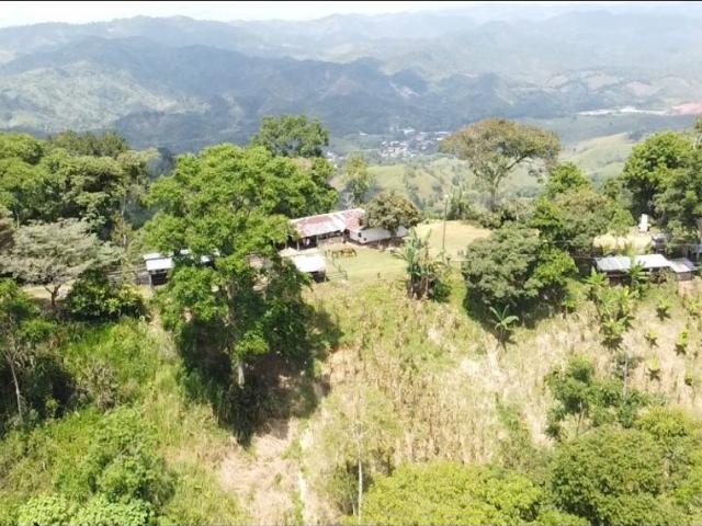 Cortijo de alto standing en venta Maceo, Departamento de Antioquia