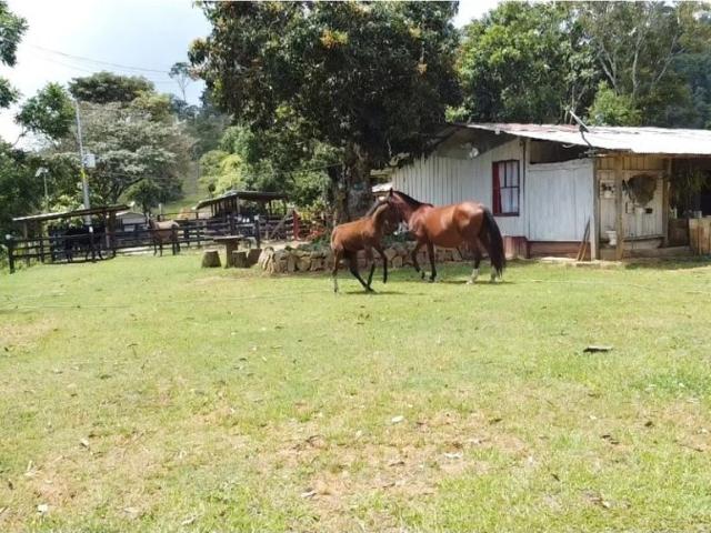 Cortijo de alto standing en venta Maceo, Departamento de Antioquia