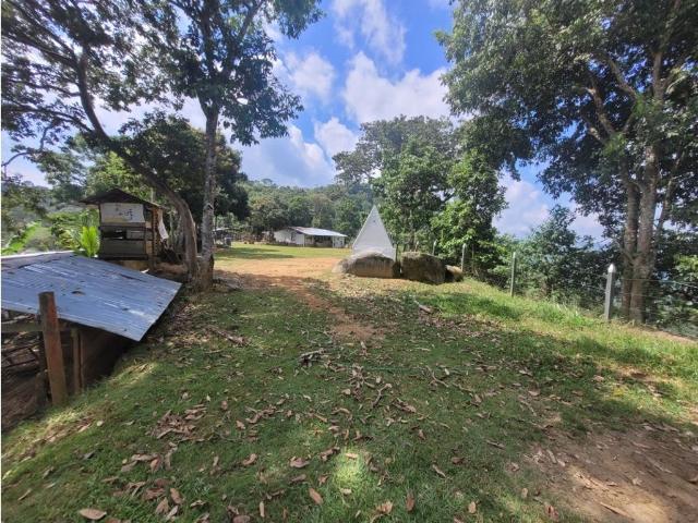 Cortijo de alto standing en venta Maceo, Departamento de Antioquia