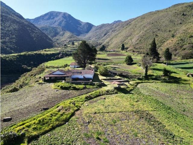 Propiedad en venta en Macigual, Mérida