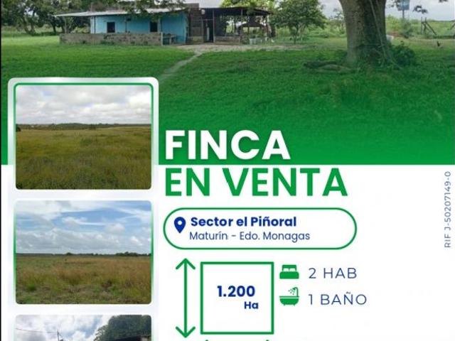 Propiedad en venta en Maturín, Municipio Maturín