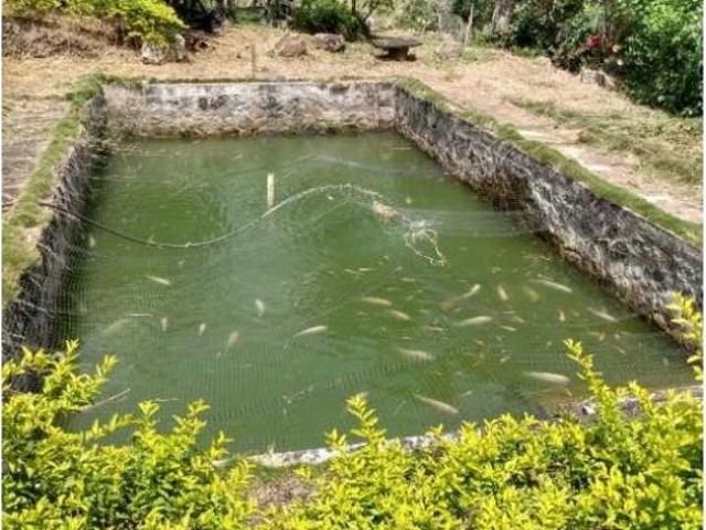 Finca en venta en Tolima