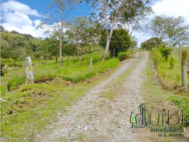 Finca en venta en Boyacá, Moniquirá