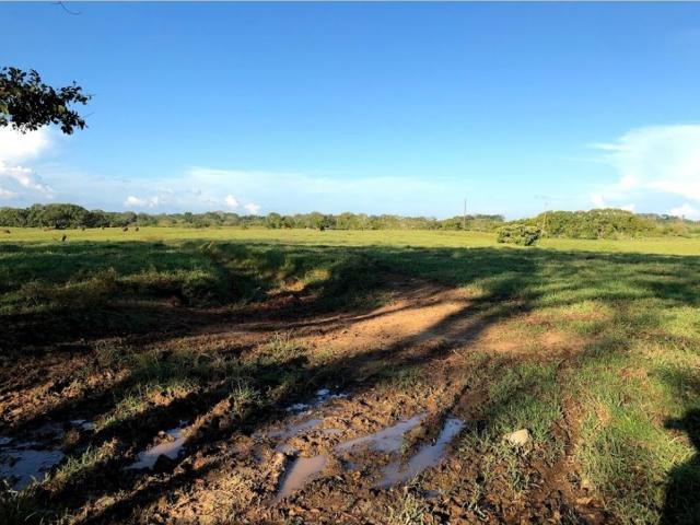 Finca en venta en Córdoba