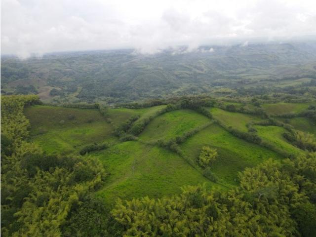 Finca en venta en Quindío