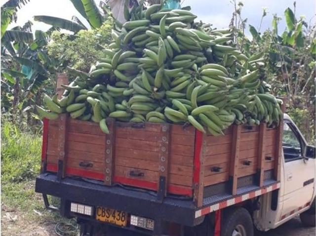 Finca en venta en Quindío