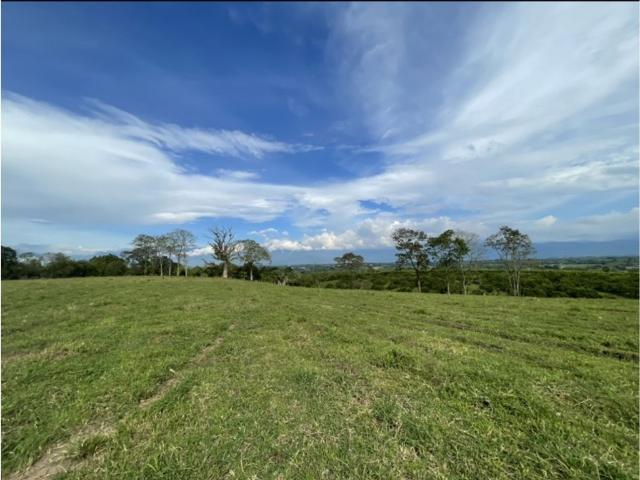 Finca en venta en Quindío