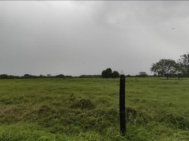 Finca en venta en Córdoba
