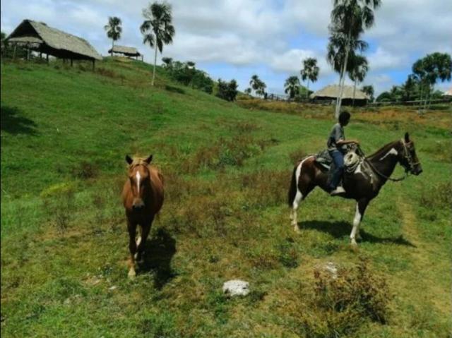 Finca en venta en Necoclí, Urabá